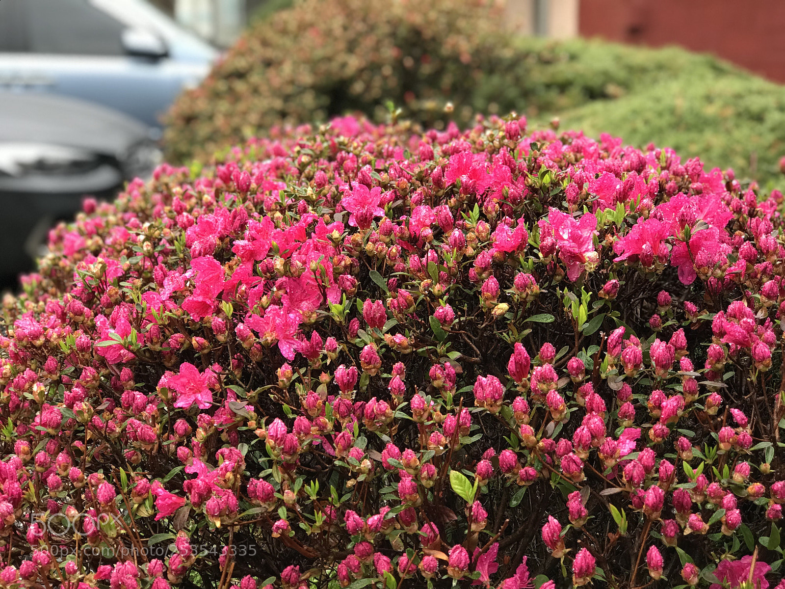 Apple iPhone 7 Plus sample photo. Untitled photography