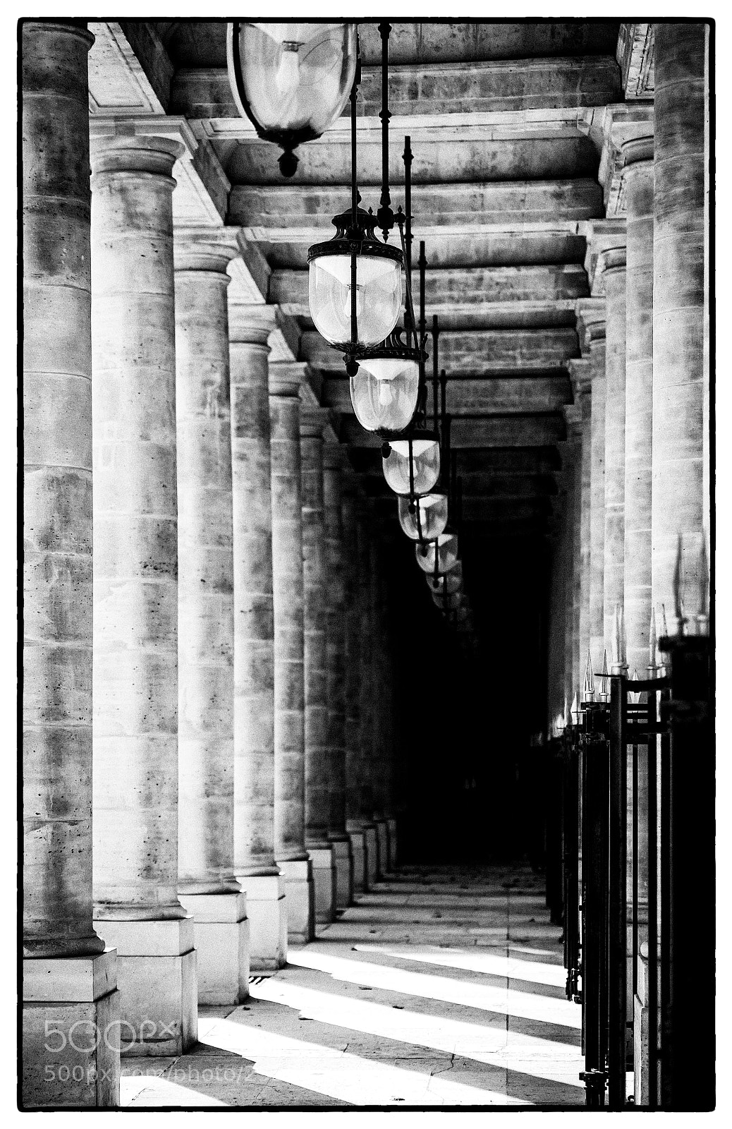 Nikon D5 sample photo. Vosges gallery photography