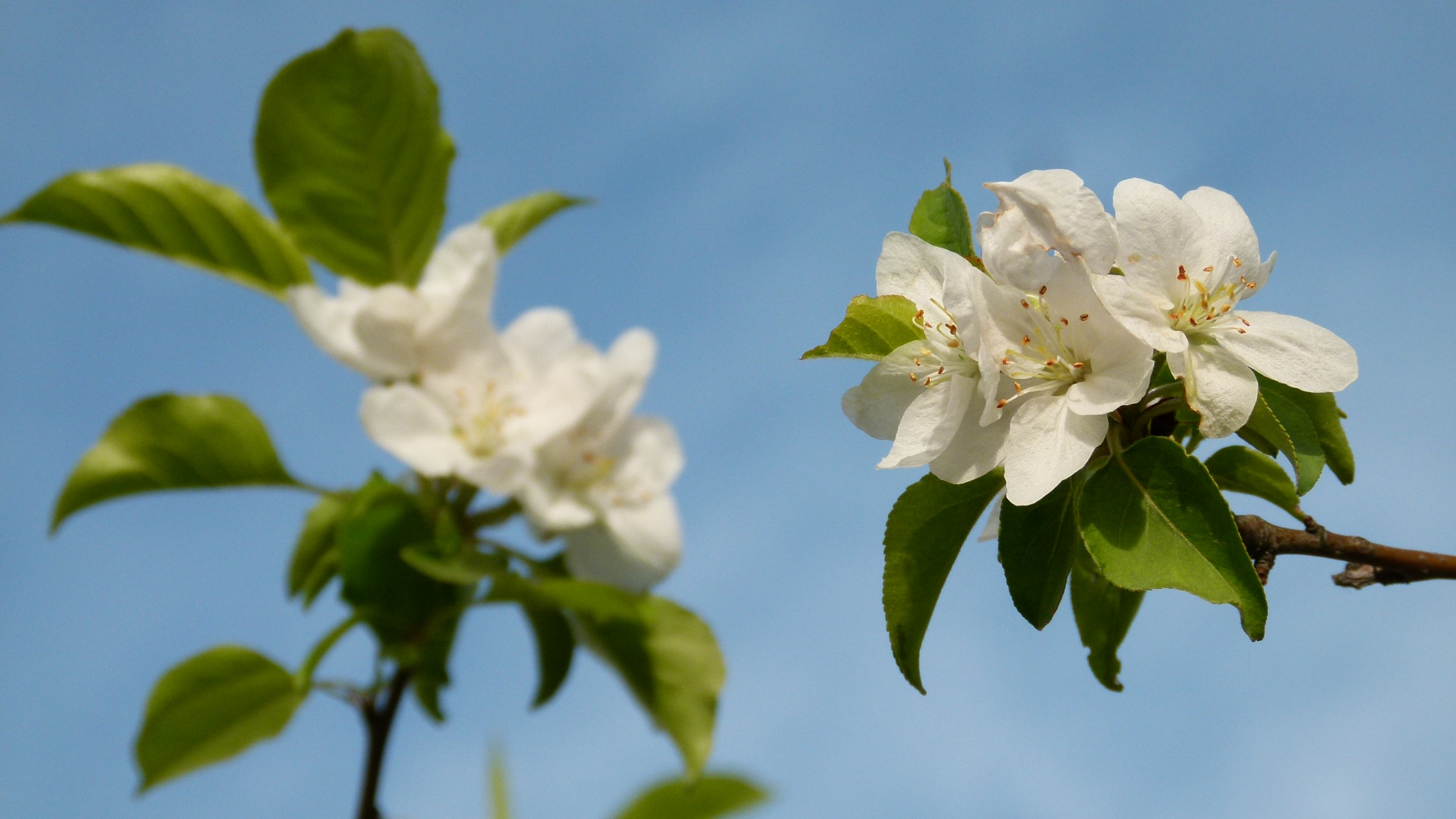 Leica V-Lux 2 sample photo