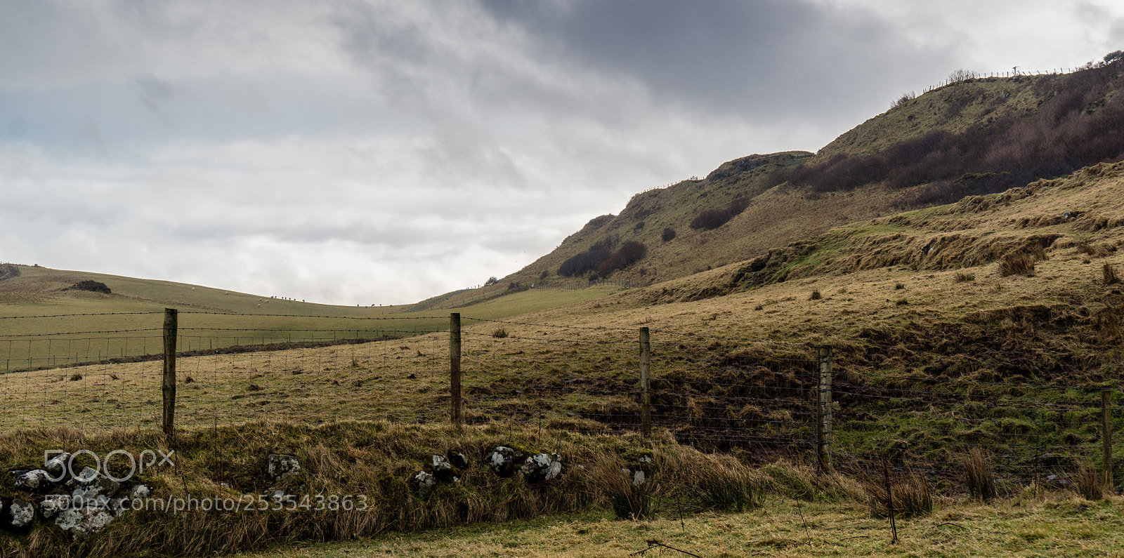 Sony a6500 sample photo. Rolling hills of ireland photography