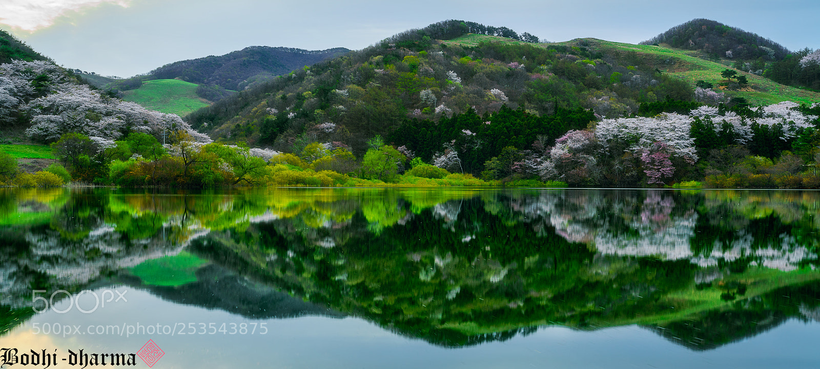 Sony a7R III sample photo. 용비지 photography