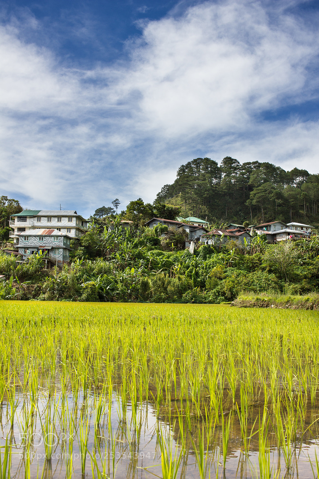 Canon EOS 550D (EOS Rebel T2i / EOS Kiss X4) sample photo. Sagada photography