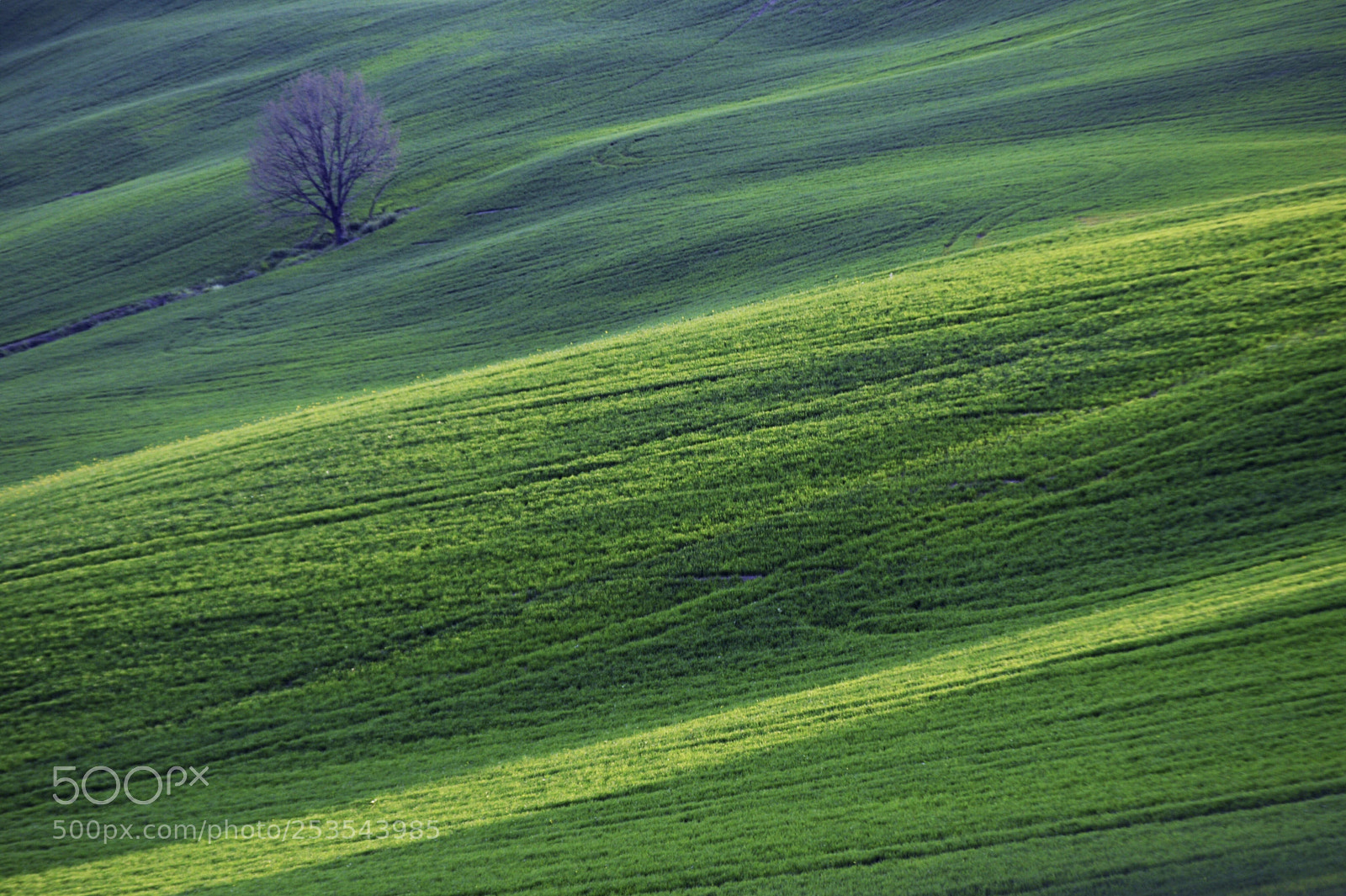 Nikon D3200 sample photo. Non solo val d'orcia photography