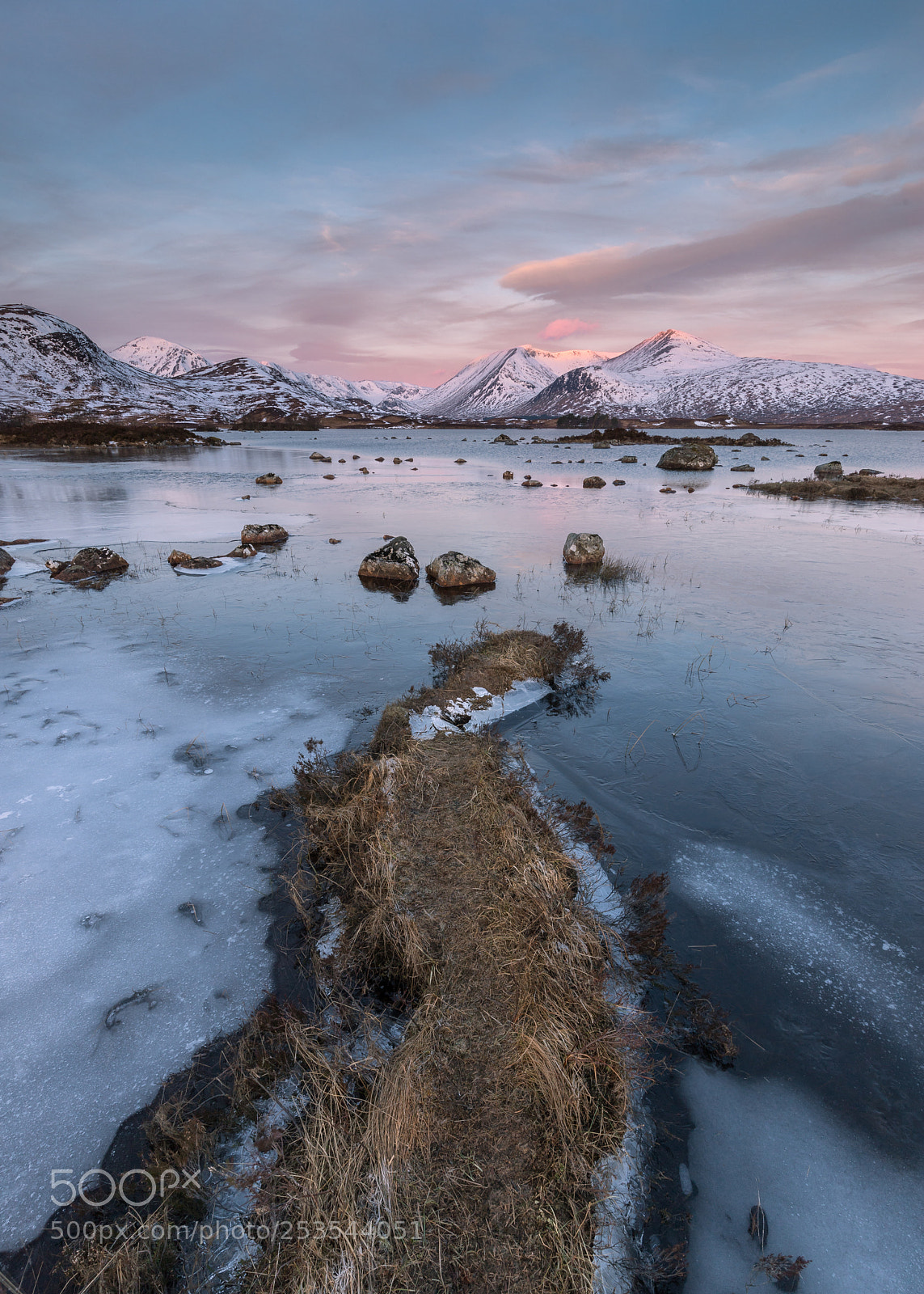 Canon EOS 6D Mark II sample photo. Winter hues photography