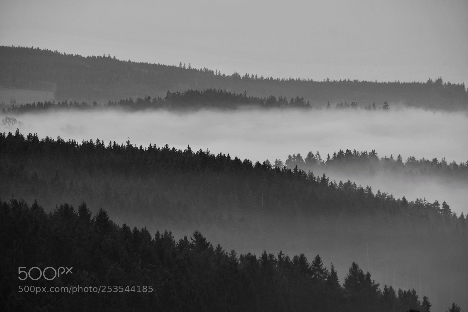 Nikon D500 sample photo. Thüringer wald photography