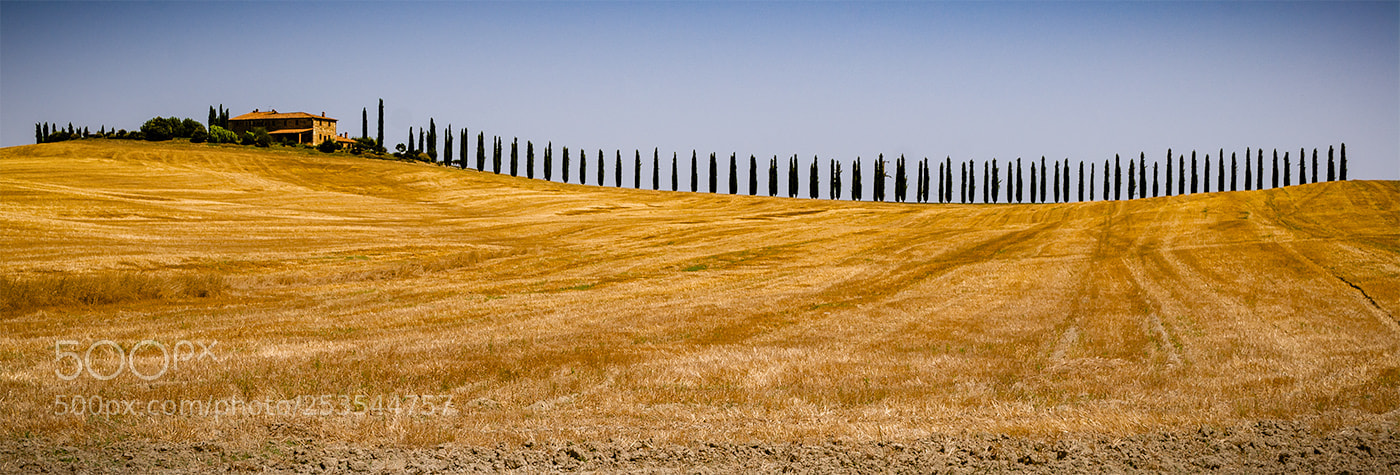 Nikon D200 sample photo. Tuscany landscape photography