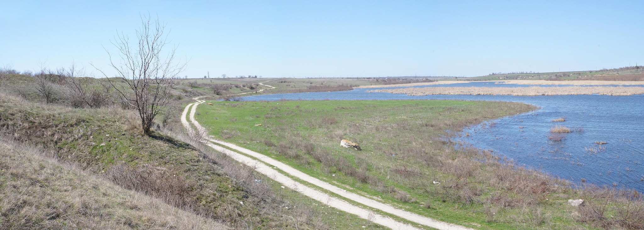 Sony Alpha NEX-F3 sample photo. Southern ukraine. sunny day in april. photography