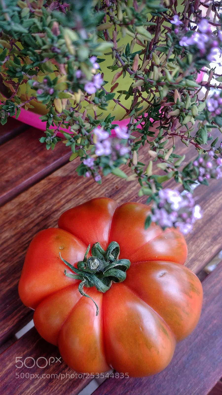 LG G6 sample photo. Tomatoe photography
