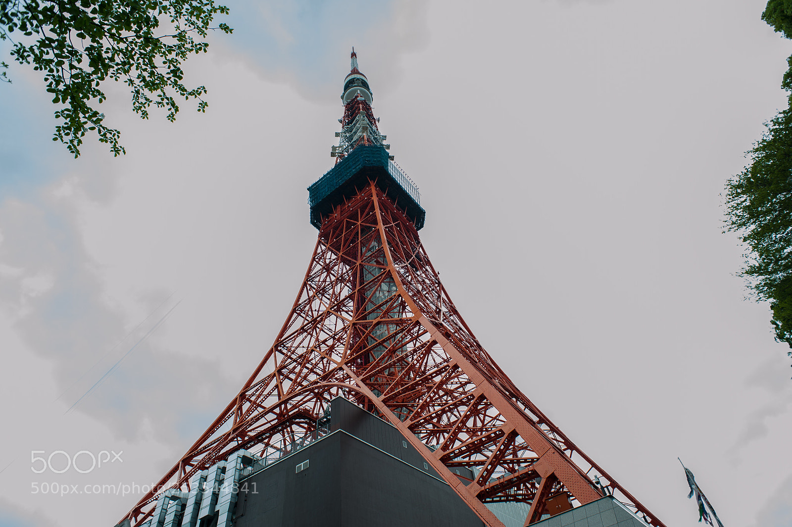 Nikon D700 sample photo. Tokyo tower photography