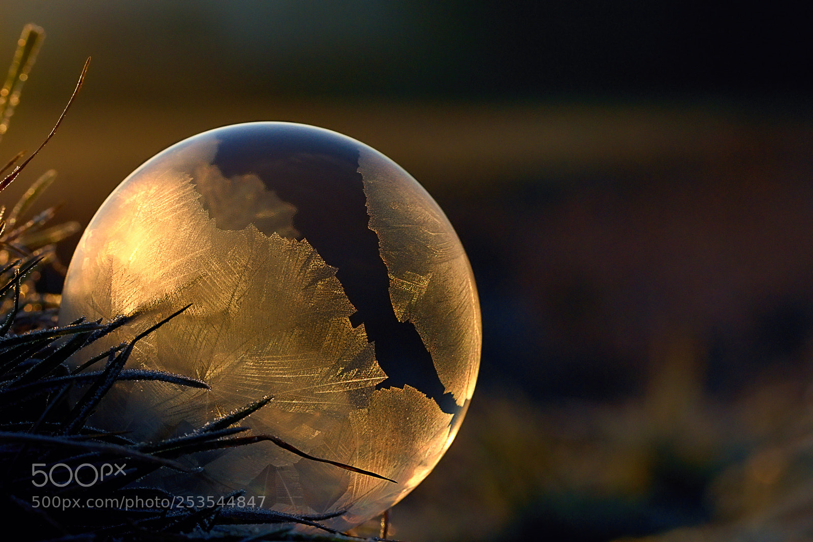Nikon D7200 sample photo. Other world photography