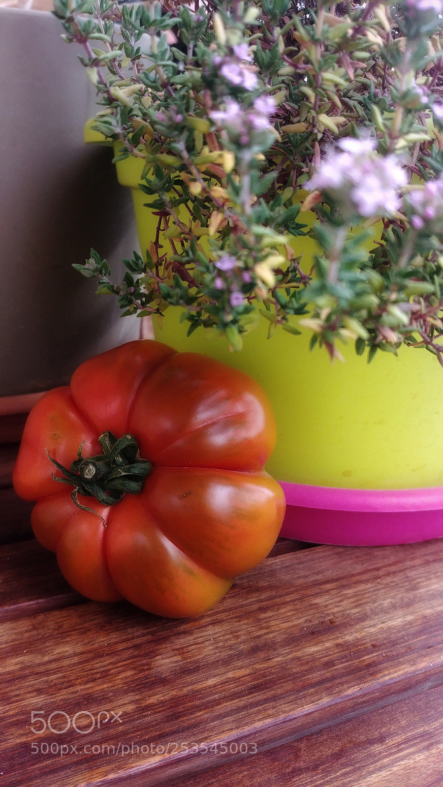 LG G6 sample photo. Tomatoe ii photography