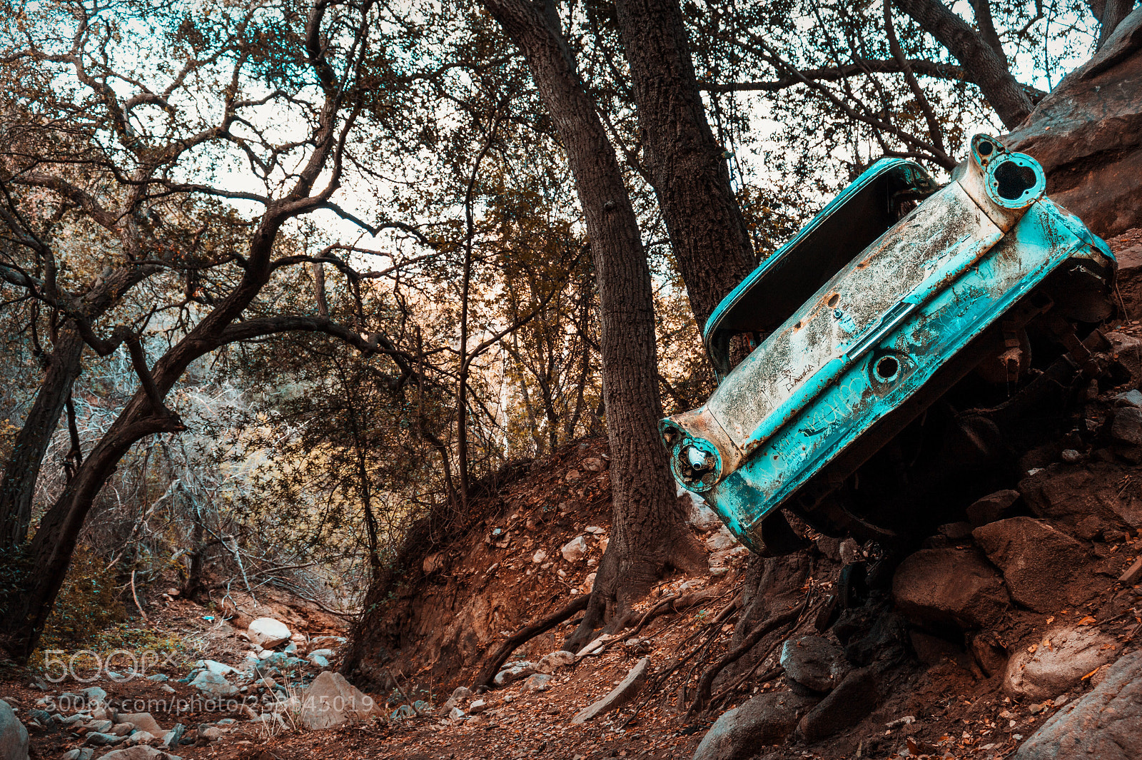 Canon EOS 750D (EOS Rebel T6i / EOS Kiss X8i) sample photo. Orange & teal photography