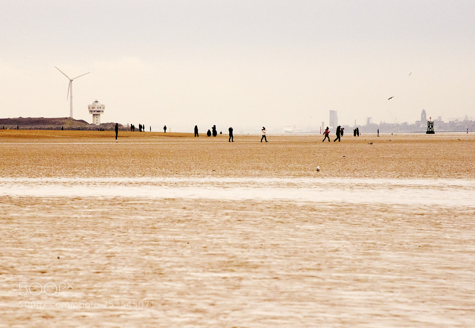 Nikon D600 sample photo. Horizon view (1) photography
