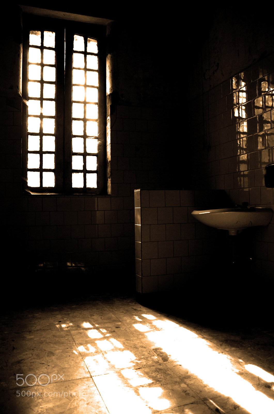 Nikon D80 sample photo. Psychiatric hospital toliet #2 photography