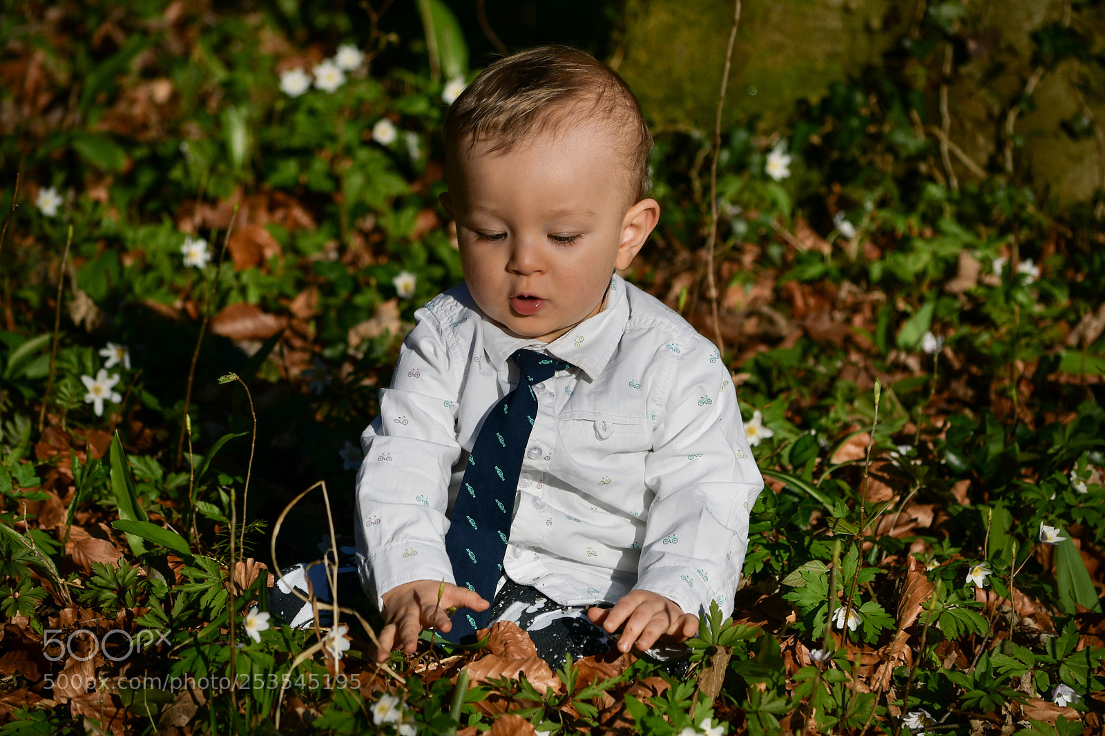 Nikon D7500 sample photo. Untitled photography