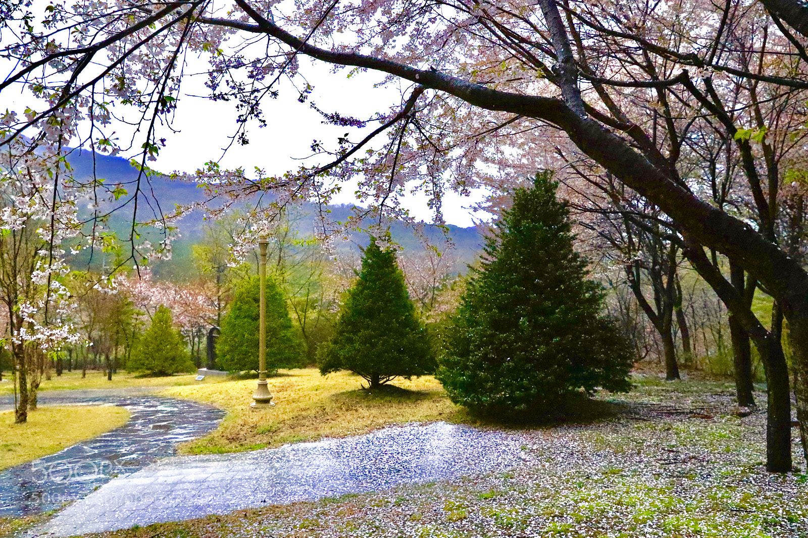 Canon EOS 5D Mark IV sample photo. Colors :) photography