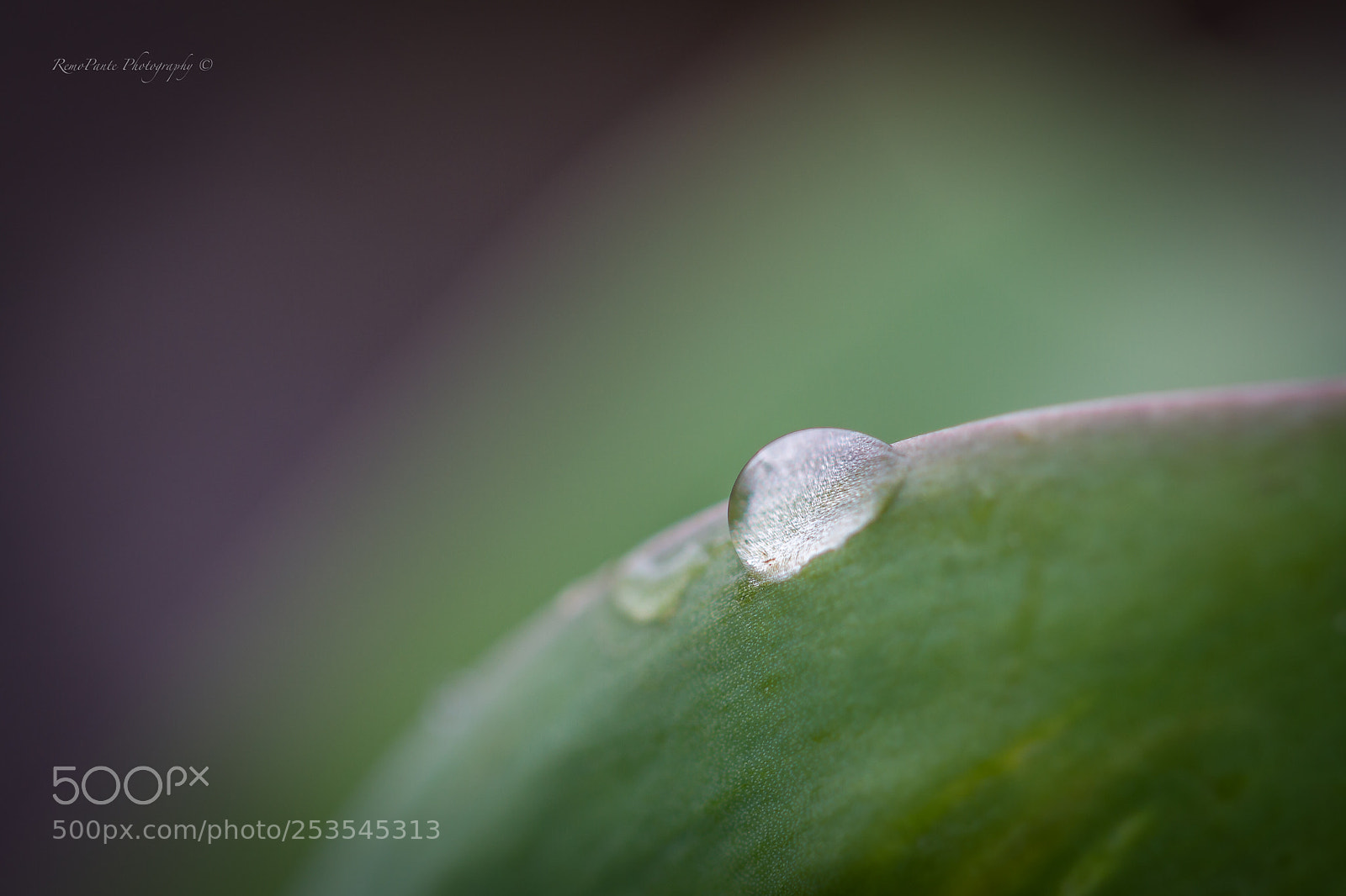 Canon EOS 7D sample photo. Crystal lens photography