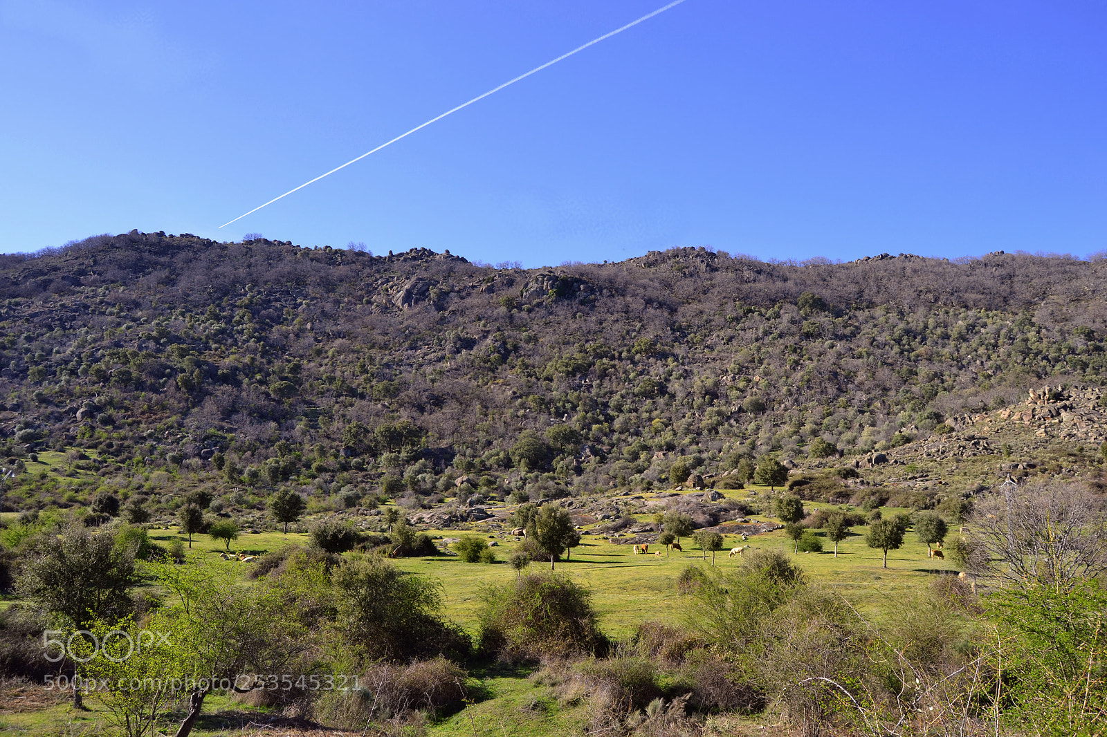 Nikon D3100 sample photo. Paisaje sierra de gata photography