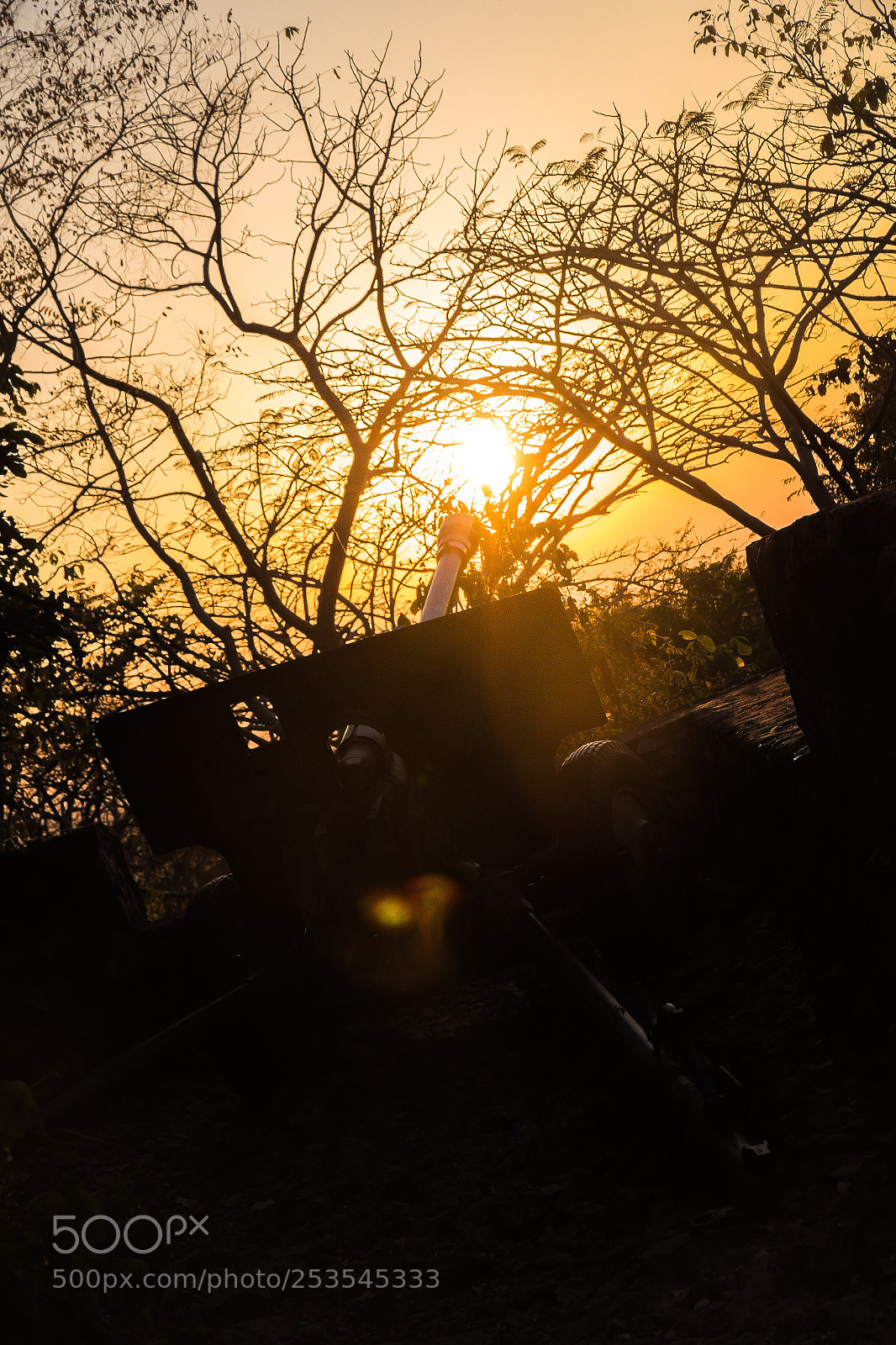 Canon EOS 700D (EOS Rebel T5i / EOS Kiss X7i) sample photo. Abondant technical photography