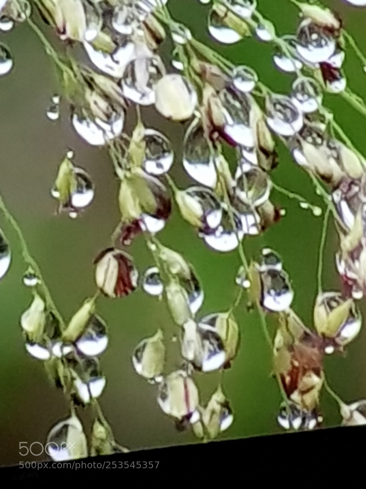 Samsung Galaxy S8 sample photo. Untitled photography