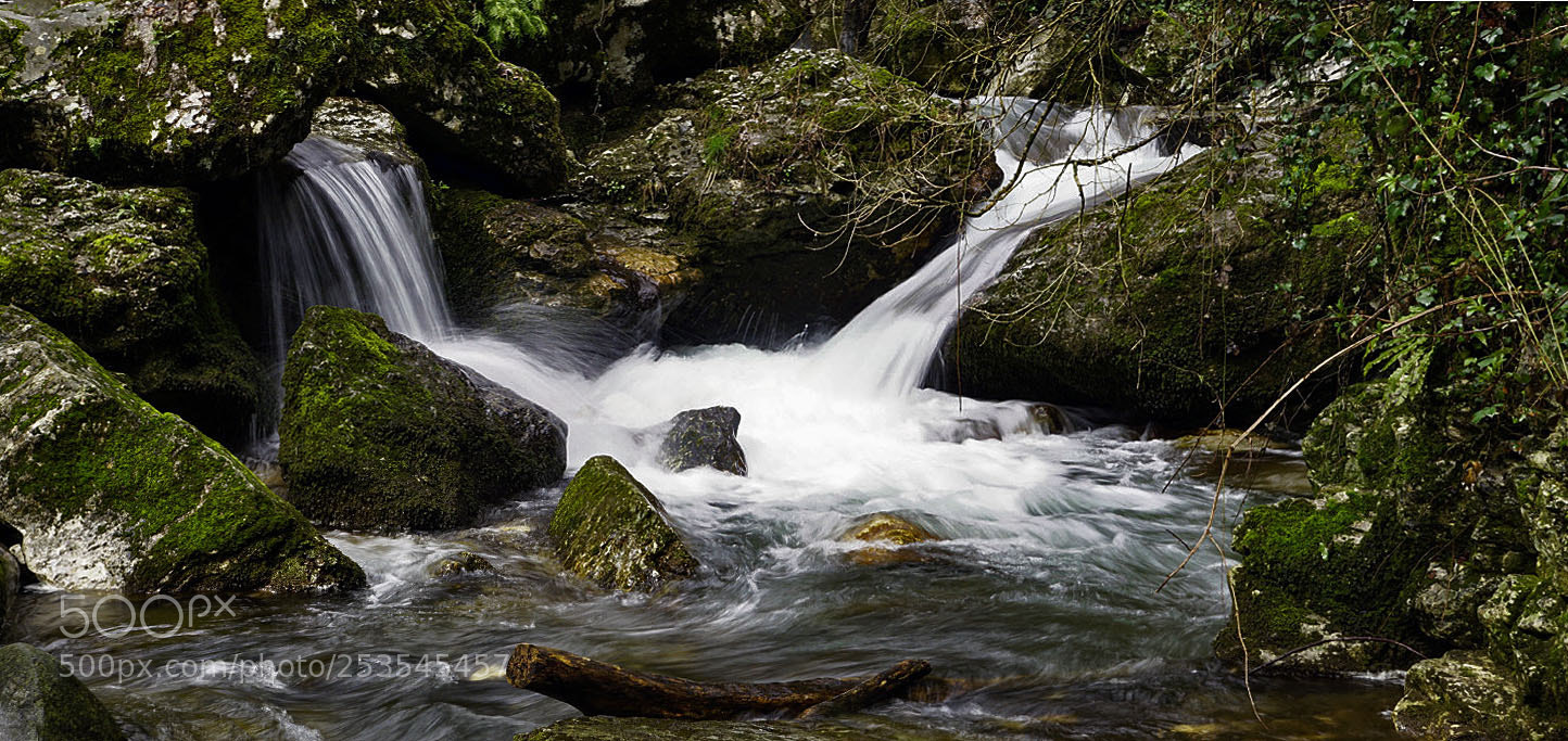 Sony ILCA-77M2 sample photo. Waterfall junction photography