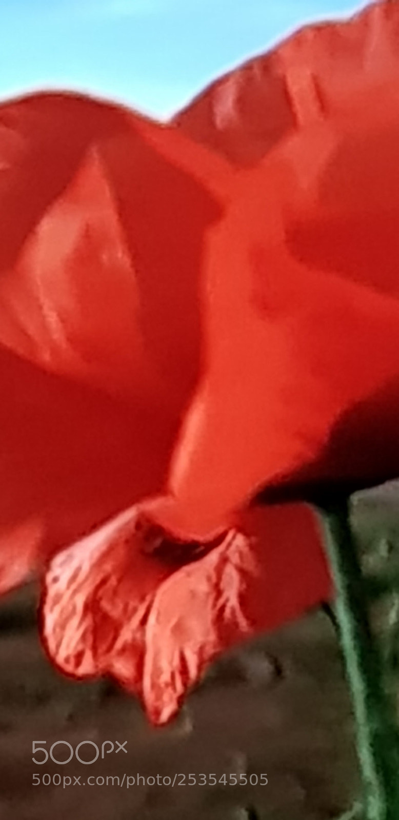 Samsung Galaxy S8 sample photo. Untitled photography