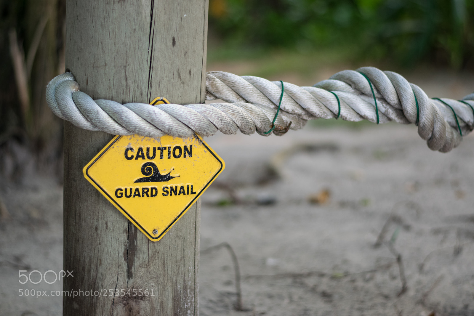 Nikon D5300 sample photo. Danger photography