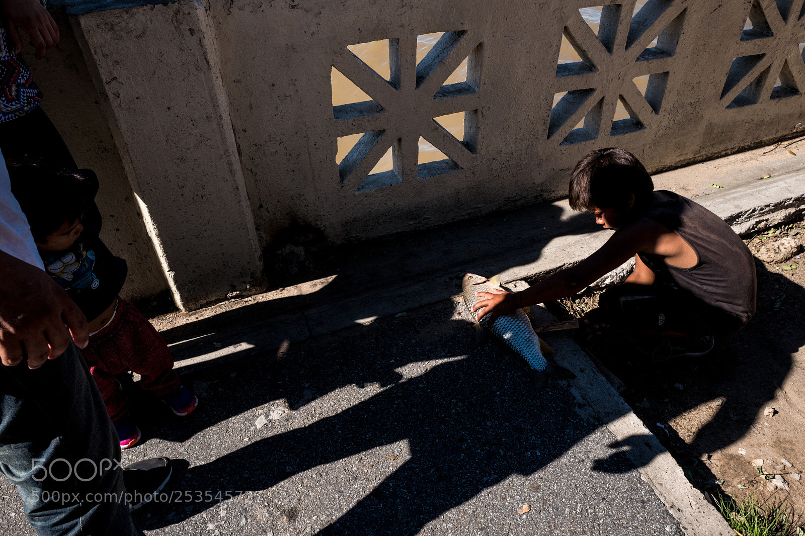 Leica Q (Typ 116) sample photo. Untitled photography