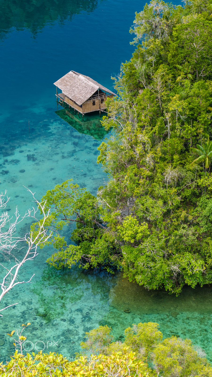 Panasonic DMC-G70 sample photo. Bamboo hut in mangrove photography