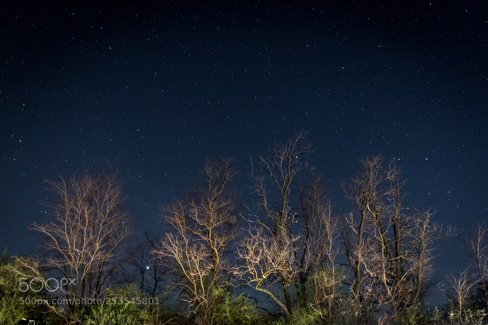 Canon EOS 70D sample photo. Stars at night photography