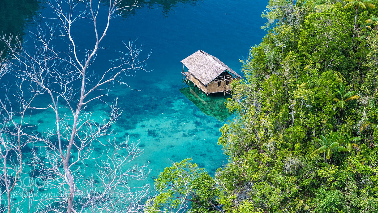 Panasonic DMC-G70 sample photo. Bamboo hut in mangrove photography