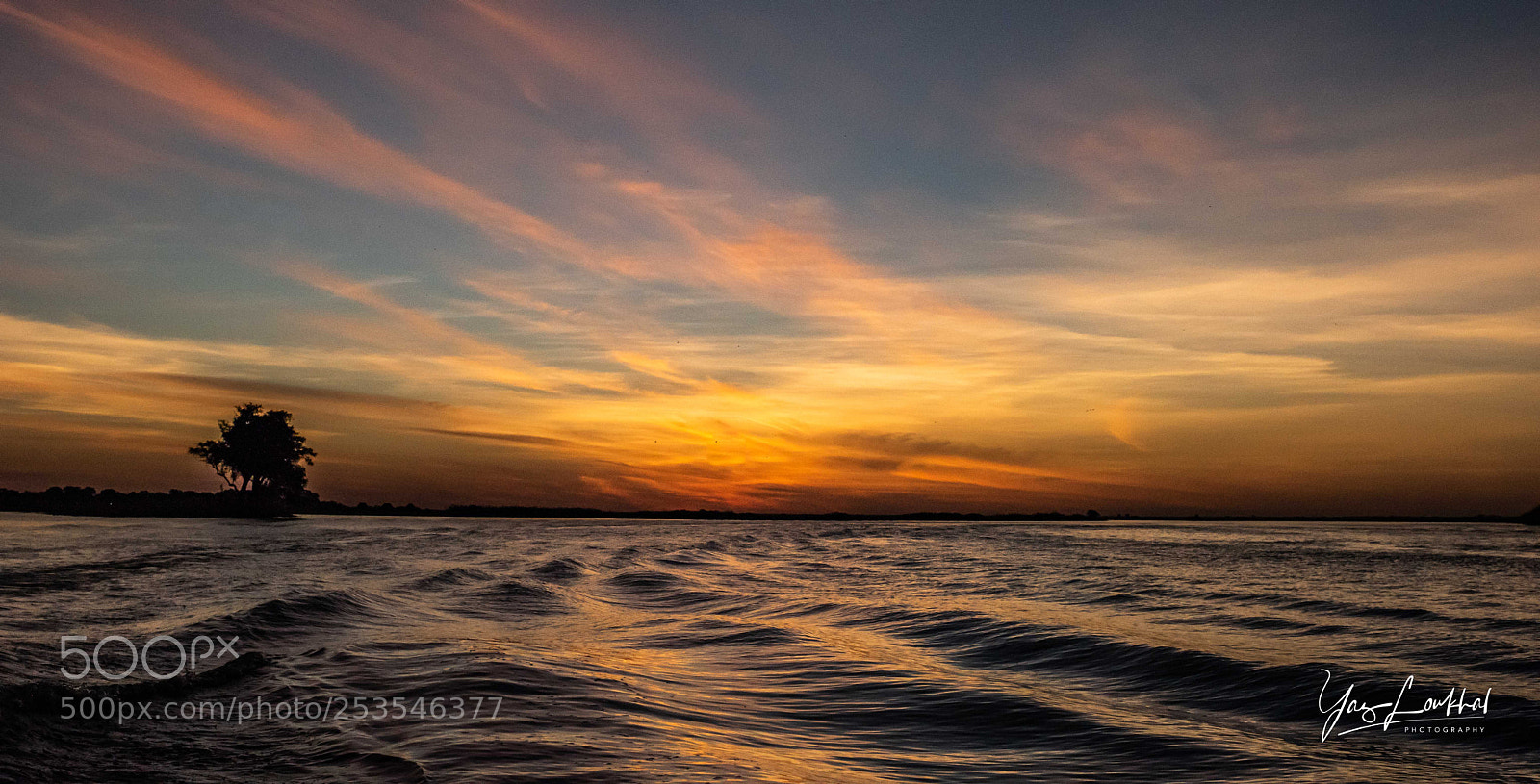 Nikon D810 sample photo. Sunset over the chobe photography