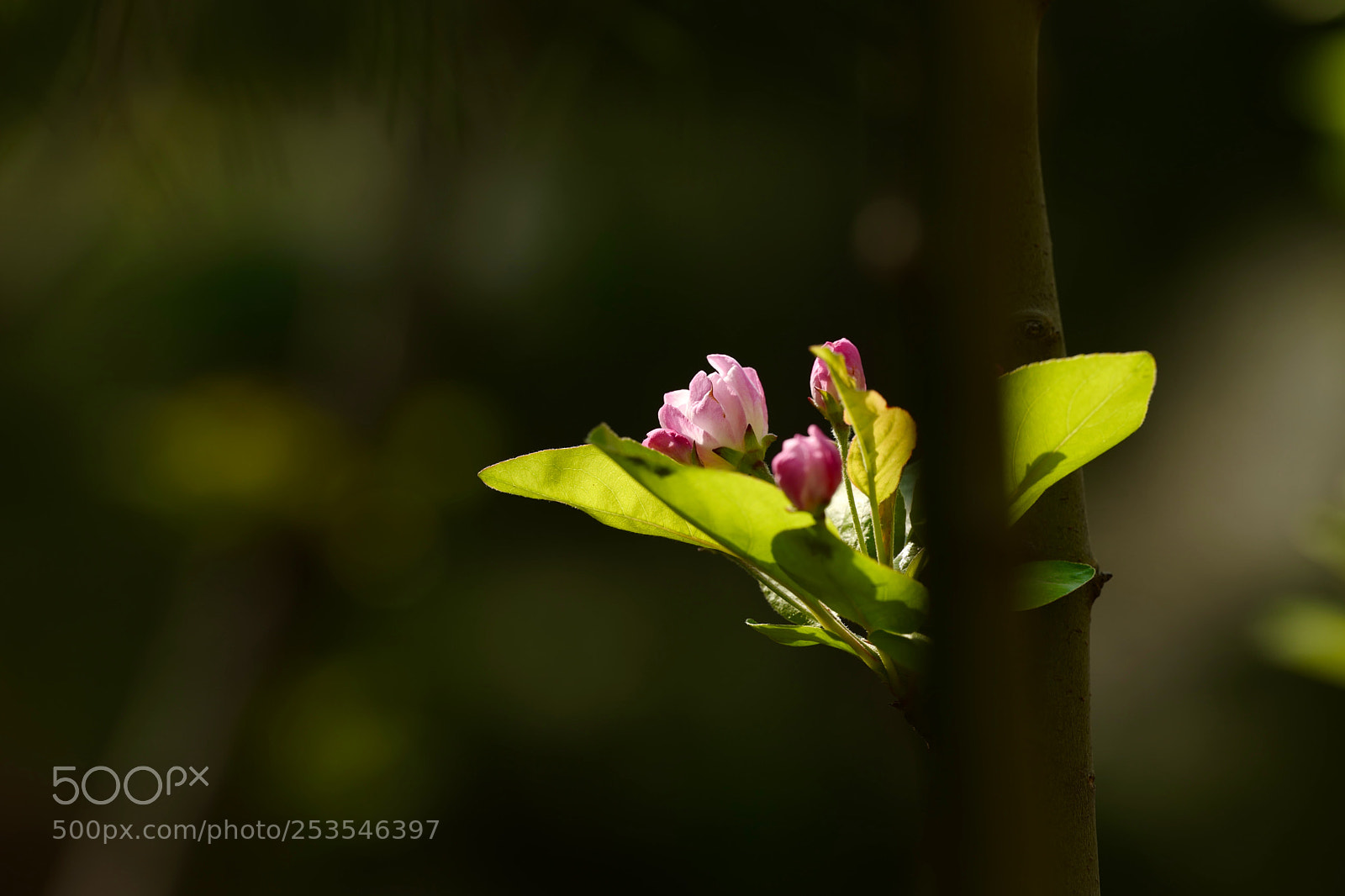 Leica SL (Typ 601) sample photo. Untitled photography