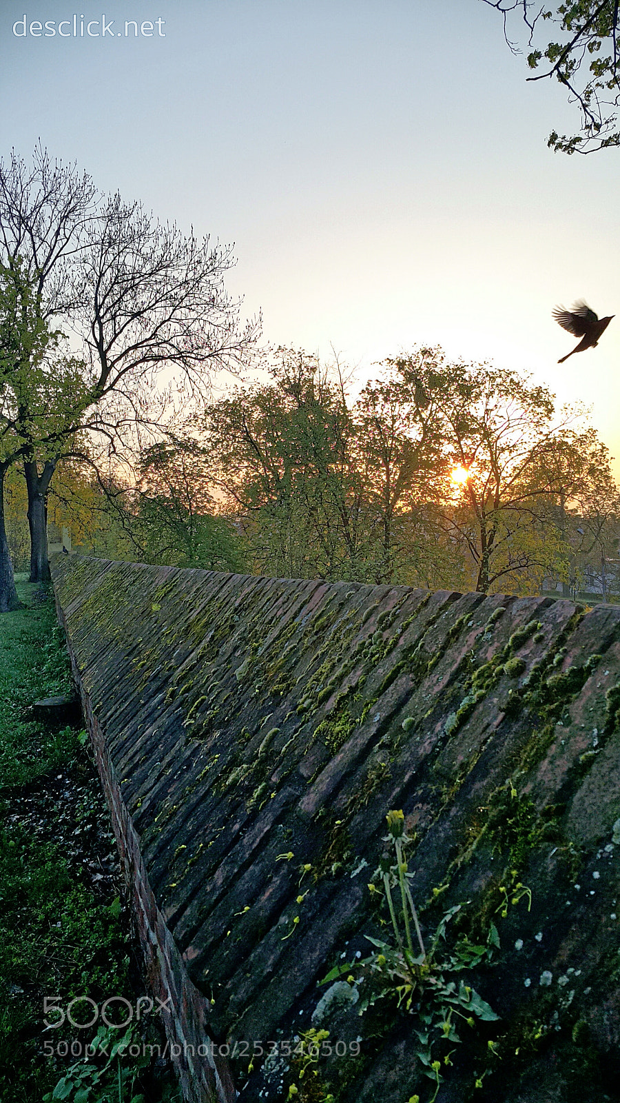 Samsung Galaxy Note4 sample photo. Good morning moment photography