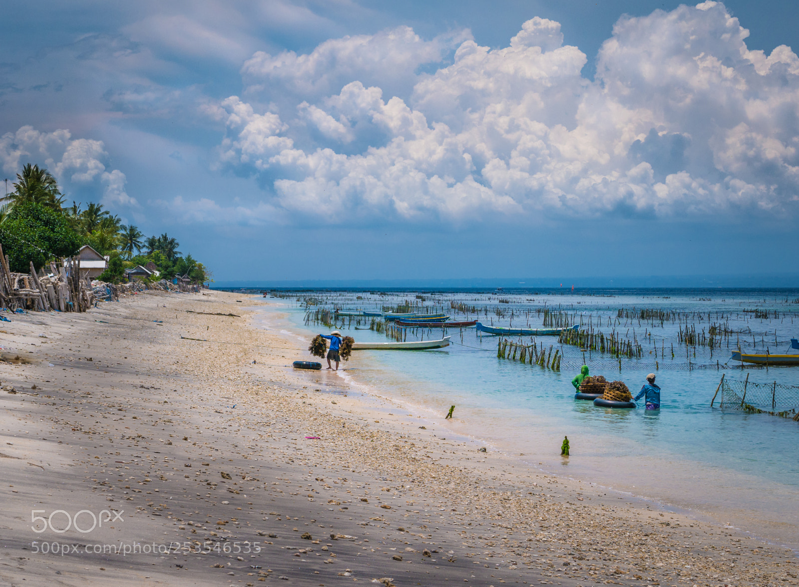 Panasonic DMC-G70 sample photo. Seaweed plantation farm by photography