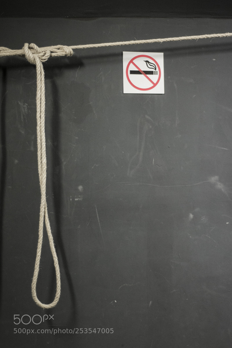 Nikon D610 sample photo. Smoking kills, and much photography