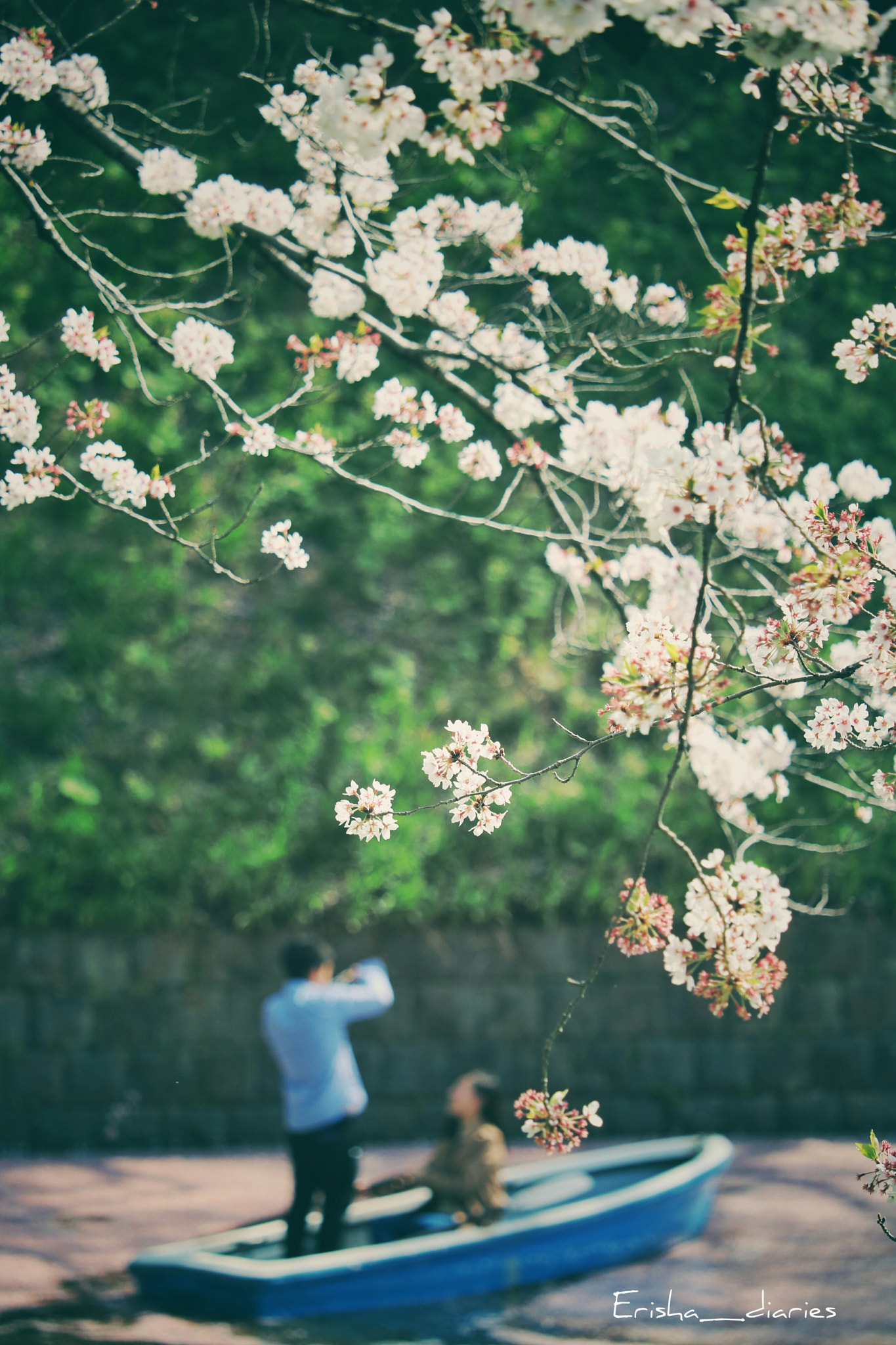 Canon EOS 760D (EOS Rebel T6s / EOS 8000D) sample photo. Blossoms!! photography