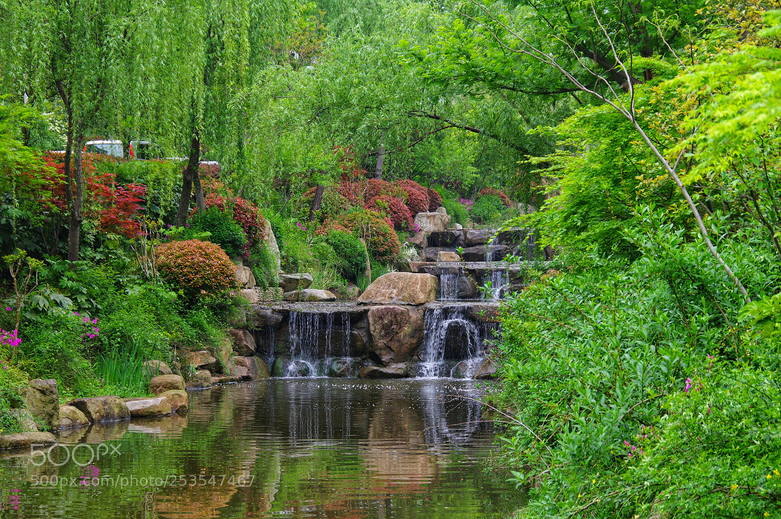 Pentax K-3 II sample photo. Untitled photography