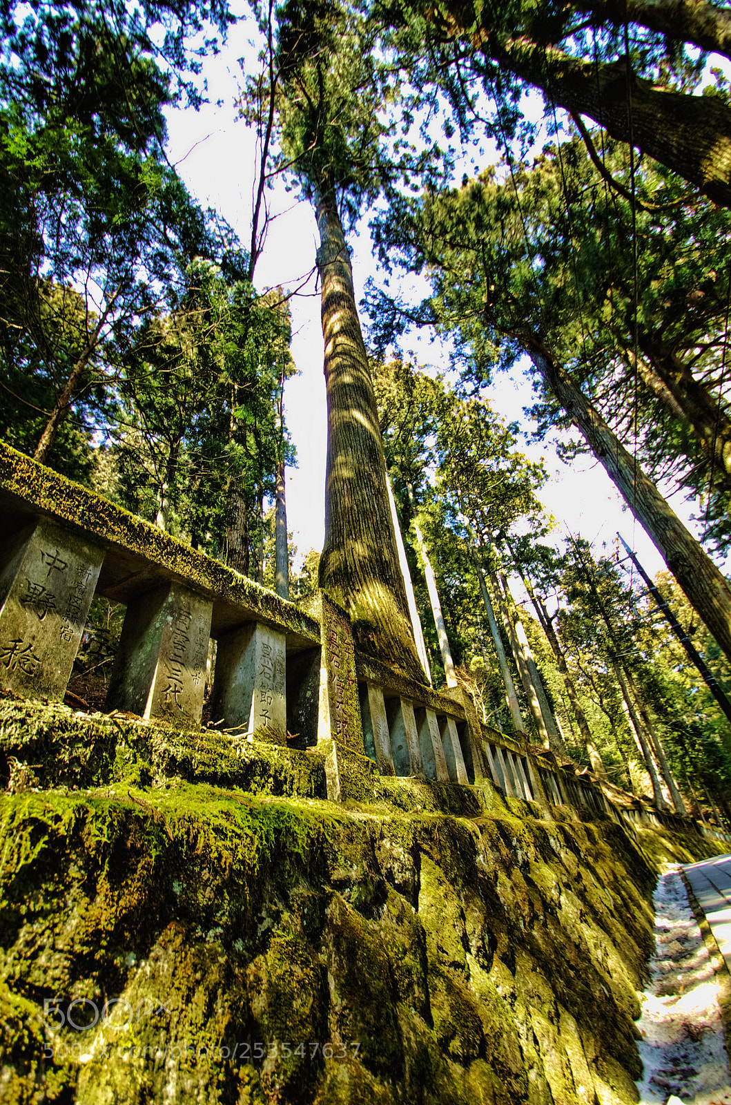 Pentax K-5 sample photo. Haruna style 2... haruna shrine 榛名神社 photography