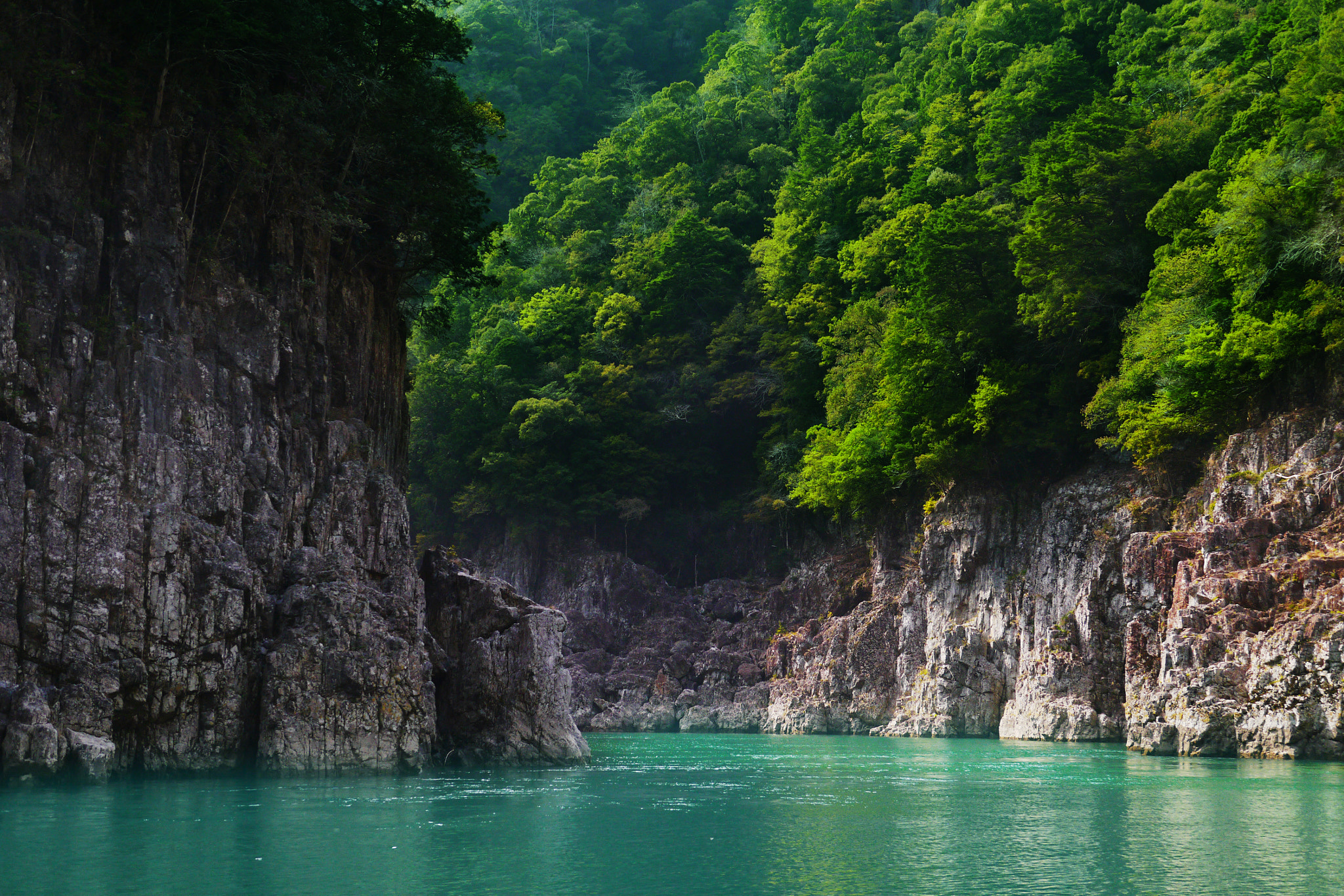 Panasonic Lumix DMC-GX1 sample photo. Green river photography