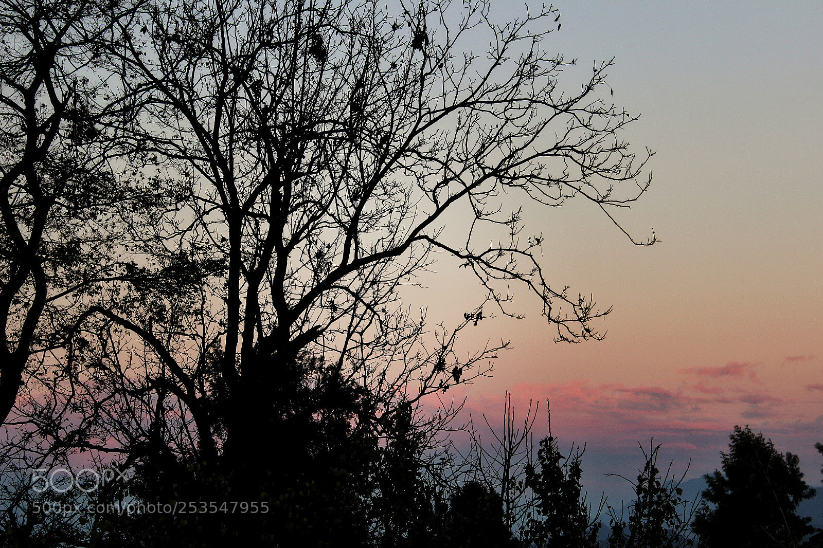 Canon EOS 600D (Rebel EOS T3i / EOS Kiss X5) sample photo. Sunset in uttarakhand photography
