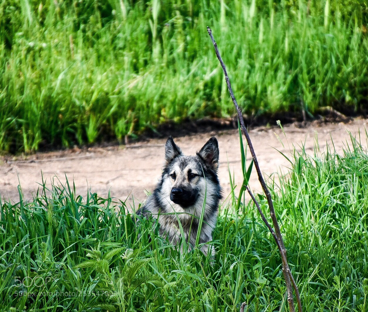 Nikon D3400 sample photo. Untitled photography