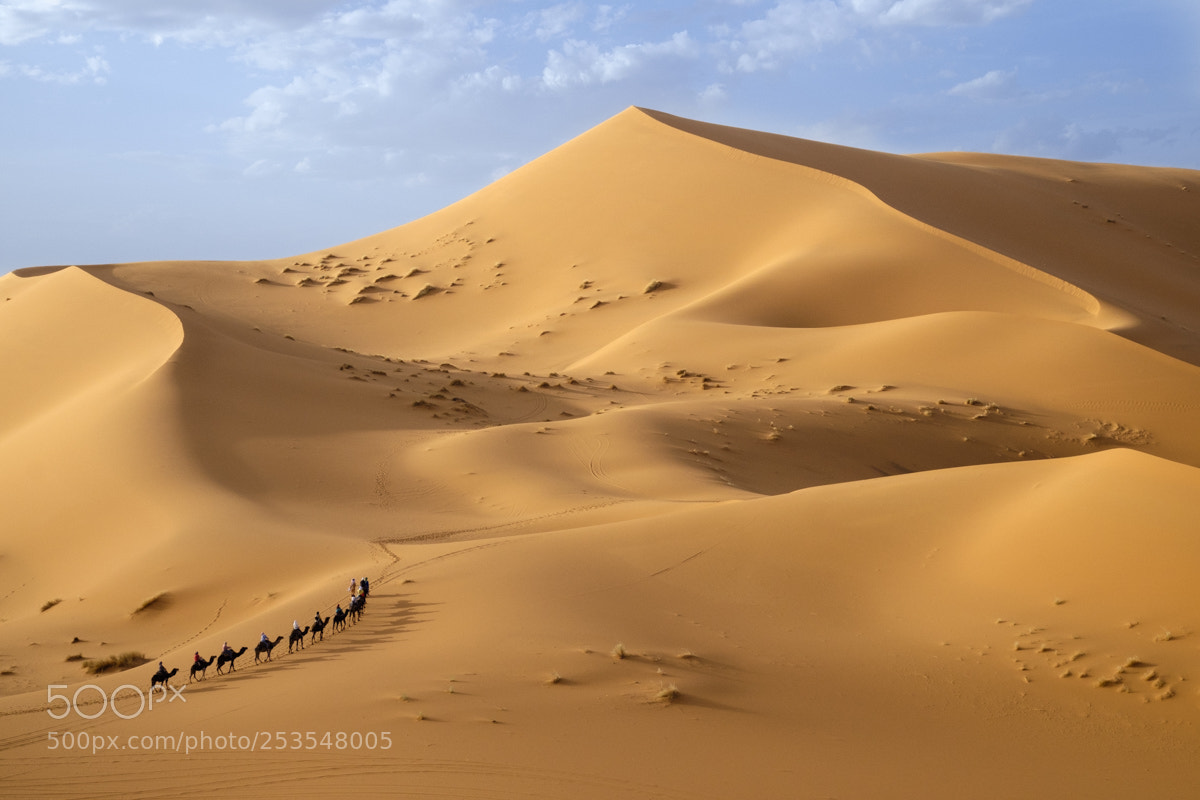 Fujifilm X-T1 sample photo. Desert photography