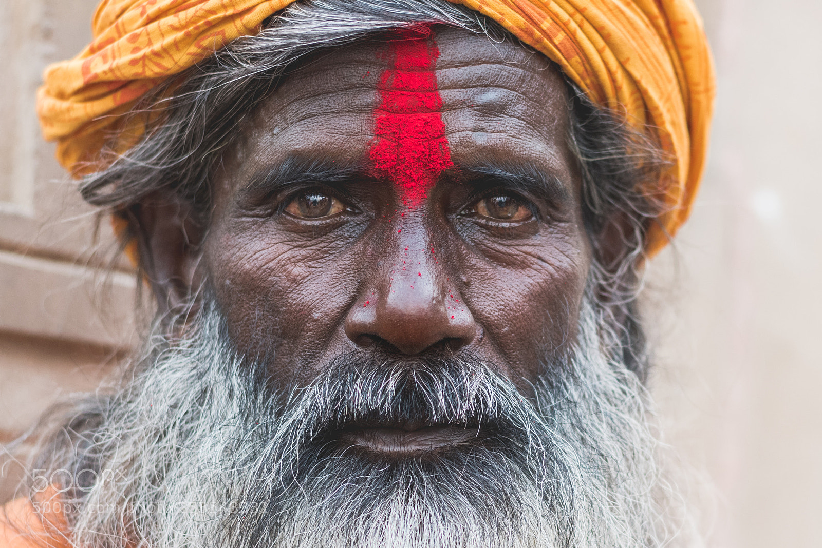 Nikon D810 sample photo. Le saint homme sadhu photography