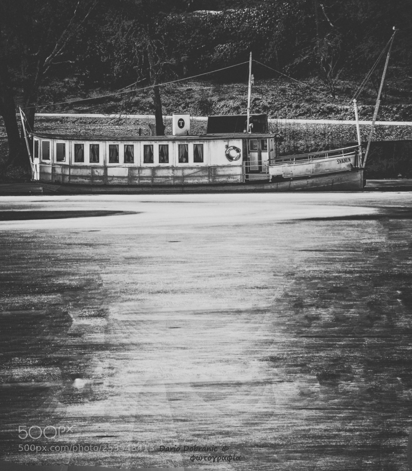 Nikon D5200 sample photo. Svanen photography
