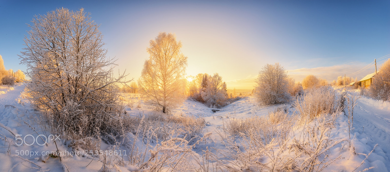 Nikon D610 sample photo. 899. winter in the photography