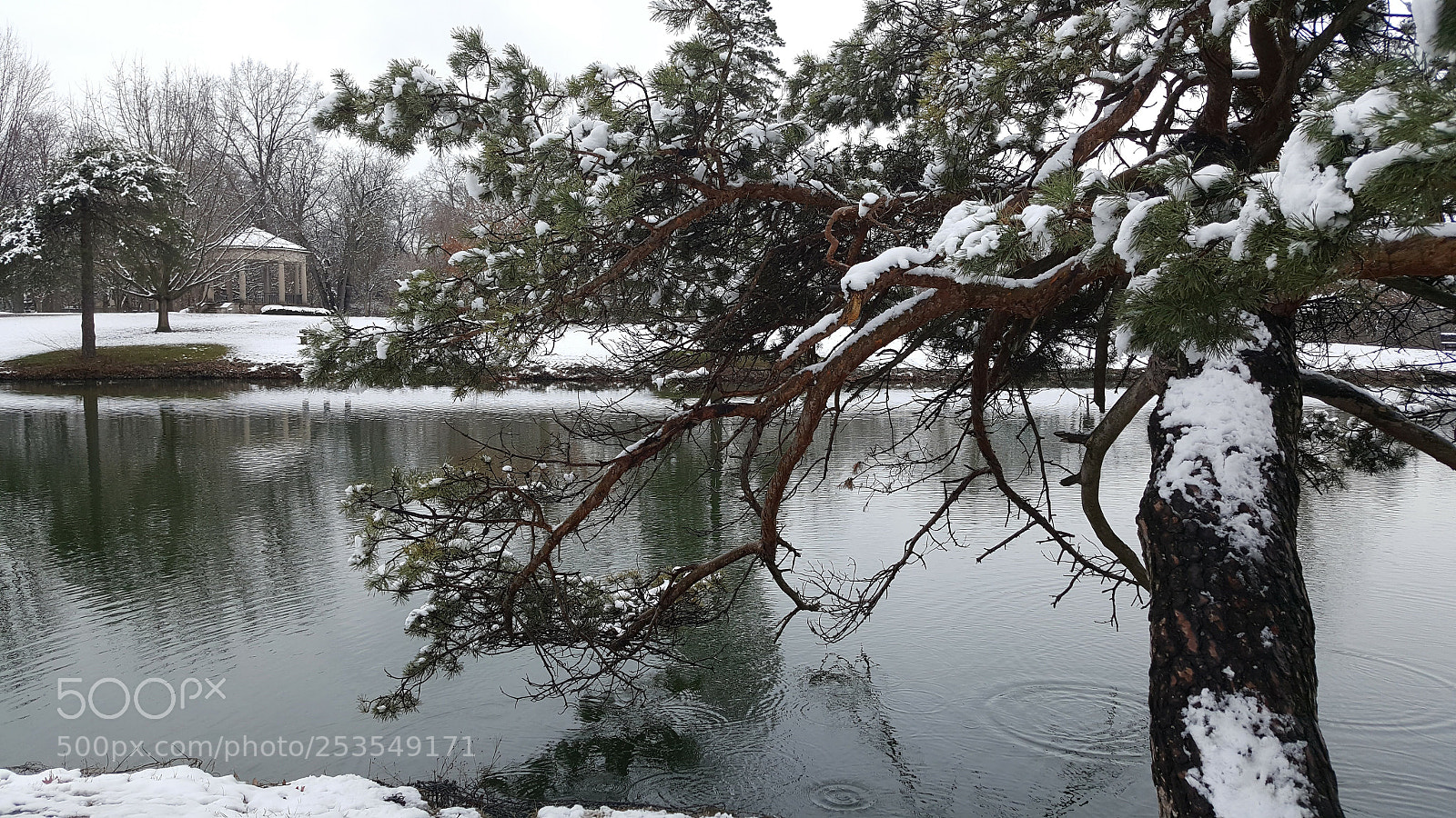Samsung Galaxy S6 sample photo. 20180409_102305.jpg photography