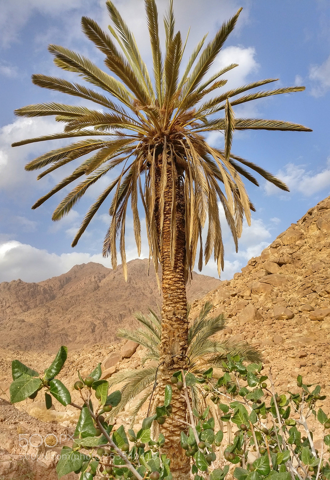OnePlus A3003 sample photo. Esla valley photography