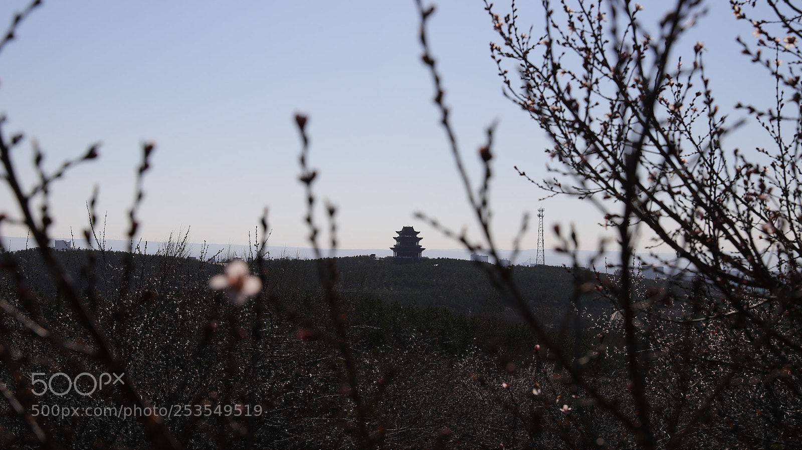 Canon EF 24-70mm F2.8L II USM sample photo. Untitled photography