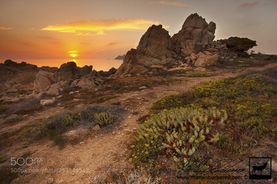 Canon EOS 5D Mark II sample photo. Sardinia sunset photography